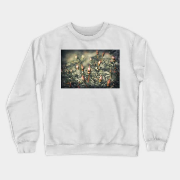 Unblown Rose Bush Crewneck Sweatshirt by cinema4design